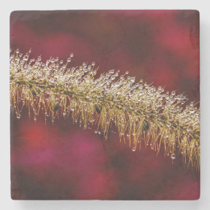 Morning Dew Steinuntersetzer