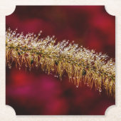 Morning Dew Untersetzer (Vorderseite)