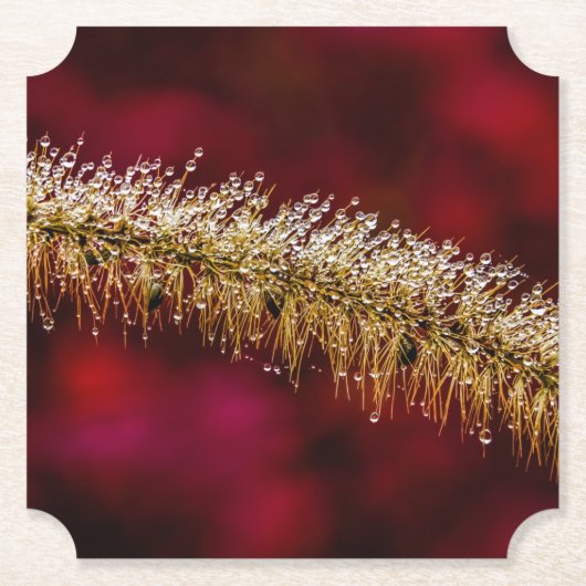 Morning Dew Untersetzer (Vorderseite)