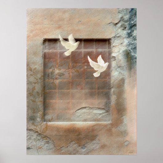Morning Dove Poster (Vorne)