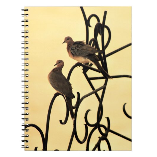 Morning Doves Notebook Notizblock (Vorderseite)