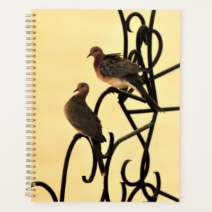 Morning Doves Planer