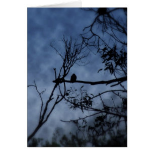 Morning Fog Bird auf Branchenkarte