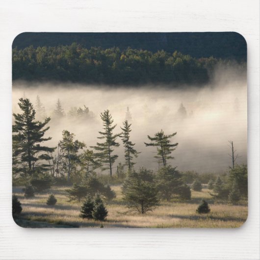 Morning Fog in den Adirondacks Mousepad (Vorne)