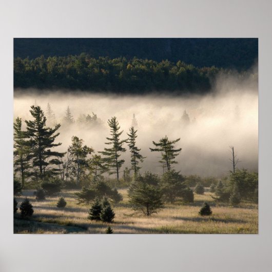 Morning Fog in den Adirondacks Poster (Vorne)