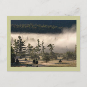 Morning Fog in den Adirondacks Postkarte