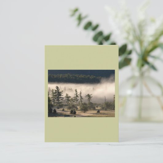Morning Fog in den Adirondacks Postkarte (Stehend Vorderseite)
