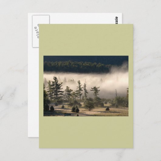 Morning Fog in den Adirondacks Postkarte (Vorne/Hinten)