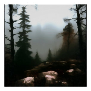 Morning Forest Forest Forest Beyond the Creek Land Poster