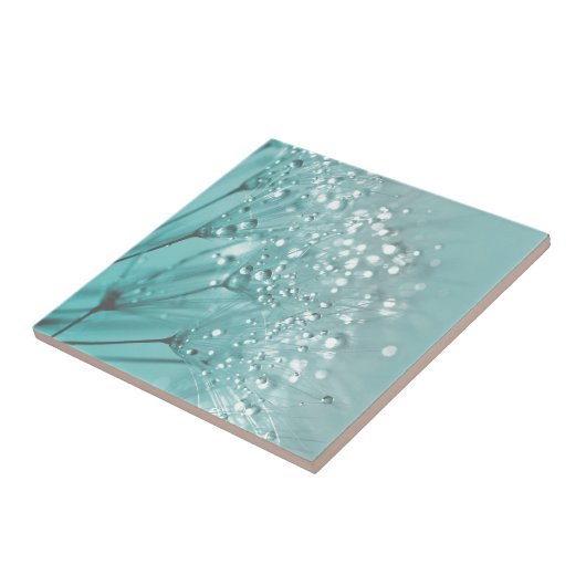 Morning Freshness Fliese (Seite)