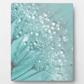 Morning Freshness Fotoplatte (Vorderseite)