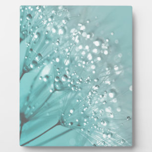 Morning Freshness Fotoplatte