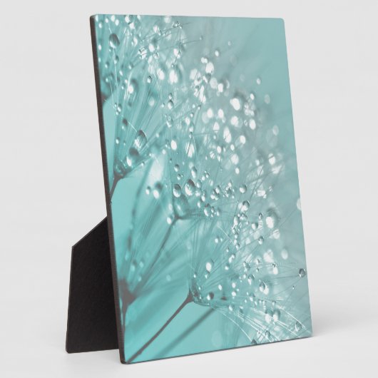 Morning Freshness Fotoplatte (Seite)