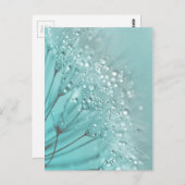 Morning Freshness Postkarte (Vorne/Hinten)