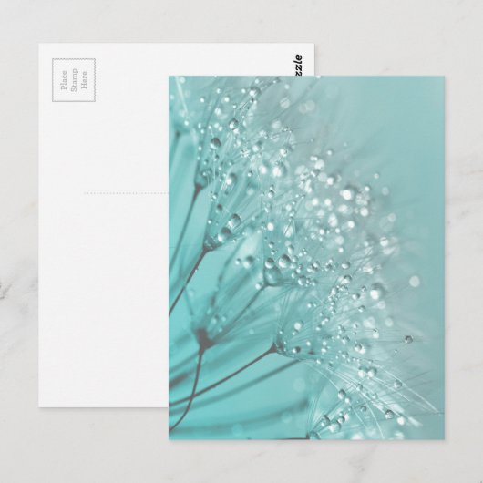 Morning Freshness Postkarte (Vorne/Hinten)