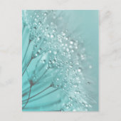 Morning Freshness Postkarte (Vorderseite)