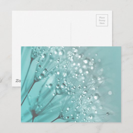 Morning Freshness Postkarte (Vorne/Hinten)