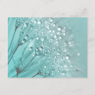 Morning Freshness Postkarte