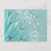 Morning Freshness Postkarte (Vorderseite)