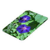 Morning Glories Flexi Magnet (Linke Seite)