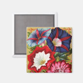 Morning Glories Magnet (Vorderseite/Rückseite)