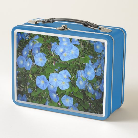 "Morning Glories!" Metall Brotdose (Vorderseite)