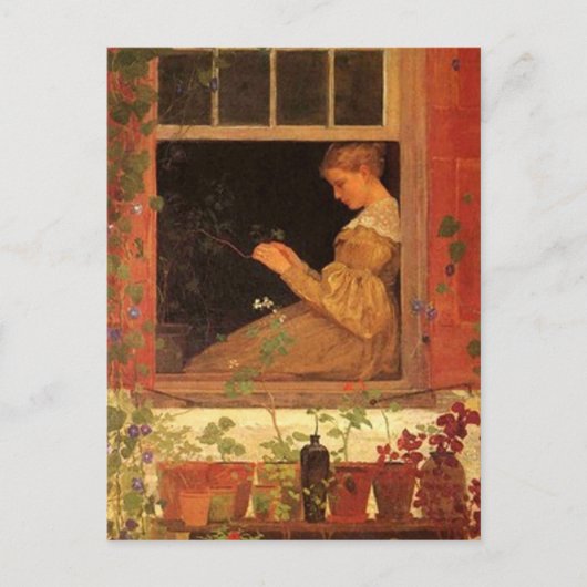 Morning Glories - Postcard Postkarte (Vorderseite)