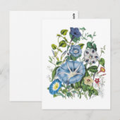 Morning Glories Postkarte (Vorne/Hinten)