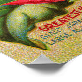 Morning Glories Print Poster (Ecke)