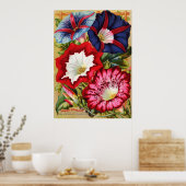 Morning Glories Print Poster (Küche)
