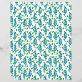 Morning Glories Scrapbook Paper