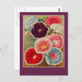 Morning Glories Seed Packet Art Cards Postkarte (Vorne/Hinten)