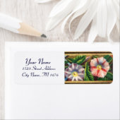 MORNING GLORY (Insitu)