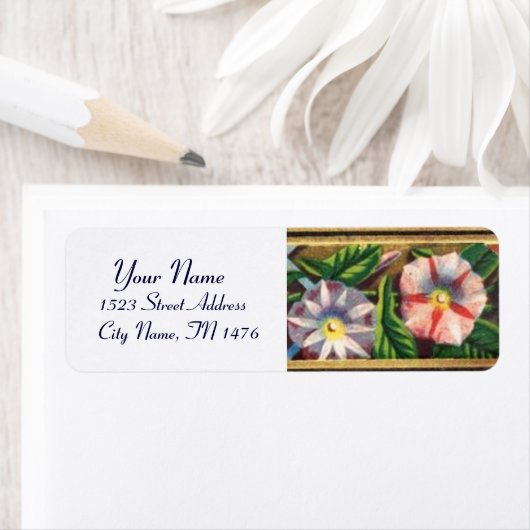 MORNING GLORY (Insitu)