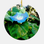 Morning Glory 102443 Keramik Ornament (Hinten)