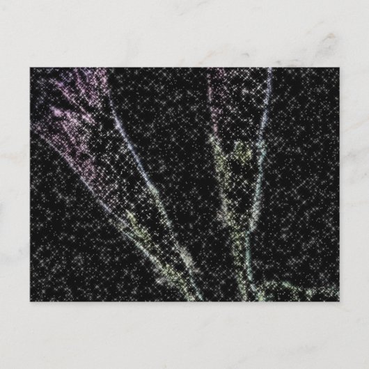 Morning Glory_1f Postkarte (Vorderseite)