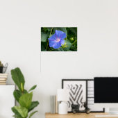 Morning Glory and Bud in Lush Foliage Poster (Heimbüro)