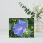 Morning Glory and Bud in Lush Foliage Postkarte (Stehend Vorderseite)