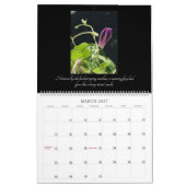 Morning Glory Beauty:  Buds and Tendrils 2026 Kalender (Mär 2027)
