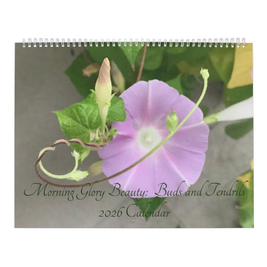 Morning Glory Beauty:  Buds and Tendrils 2026 Kalender (Titelbild)
