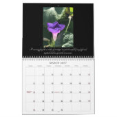 Morning Glory Beauty:  Chalices of Light 2026 Kalender (Mär 2027)