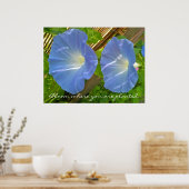 Morning Glory Bloom, wo Sie Poster gepflanzt werde (Küche)