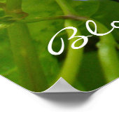 Morning Glory Bloom, wo Sie Poster gepflanzt werde (Ecke)