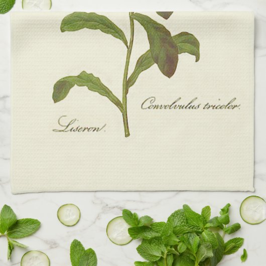 Morning Glory Blue Illustration Handtuch (Gefaltet)