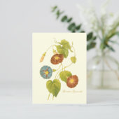 Morning Glory Blue Illustration Postkarte (Stehend Vorderseite)