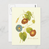 Morning Glory Blue Illustration Postkarte (Vorne/Hinten)