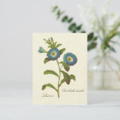Morning Glory Blue Illustration Postkarte (Stehend Vorderseite)