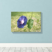 Morning Glory Blue Leinwanddruck (Insitu (Holzboden))