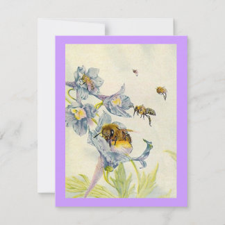 Morning Glory Blume Bienen Geburtstagsparty INVITE Einladung