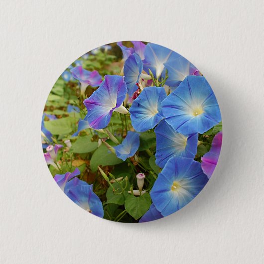 Morning Glory Blume Button (Vorderseite)